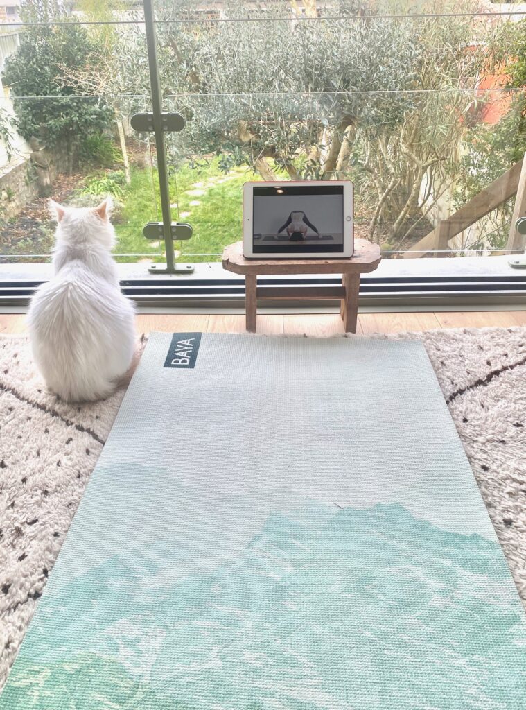 yoga-en-ligne-et-la-rochelle